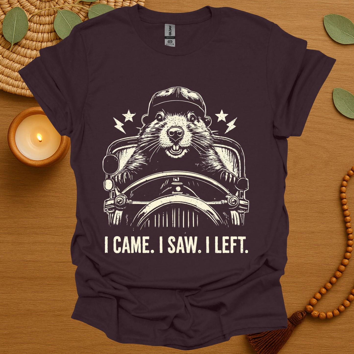 I Came. I Saw. I Left. T-Shirt