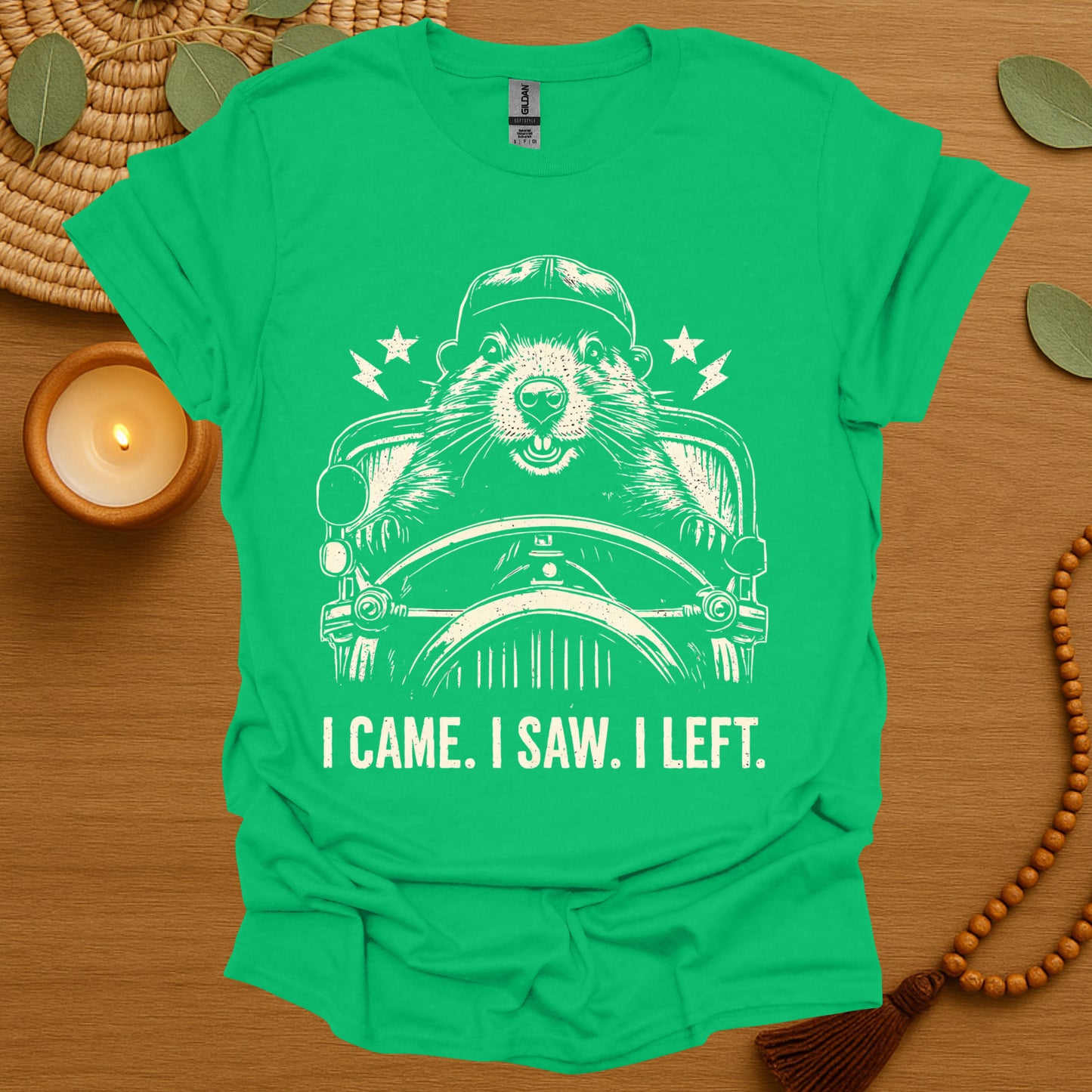 I Came. I Saw. I Left. T-Shirt